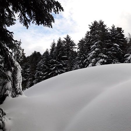 Ferienwohnung Pyrenees - Le Nid D'Ax Ax-les-Thermes Exterior foto