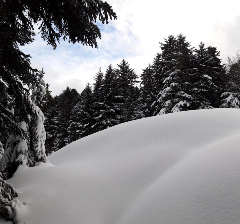 Ferienwohnung Pyrenees - Le Nid D'Ax Ax-les-Thermes Exterior foto